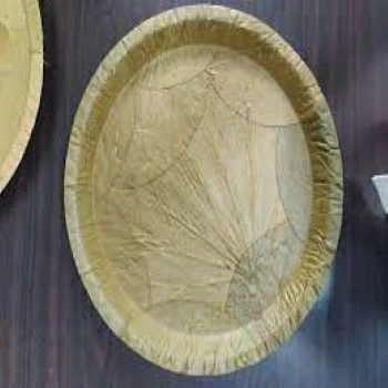 Modern Leaf Plate
