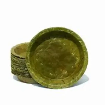 Coated Finished Leaf Plate