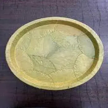 Multicolor Leaf Plate