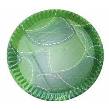 Leak Proof Leaf Plate