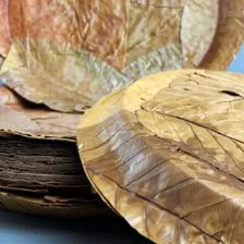 Standard Leaf Plate