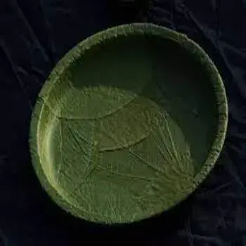 Fine Finish Leaf Plate