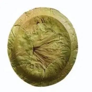 Leaf Plate