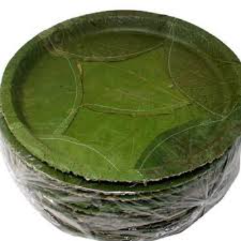 Eco Friendly Leaf Plate