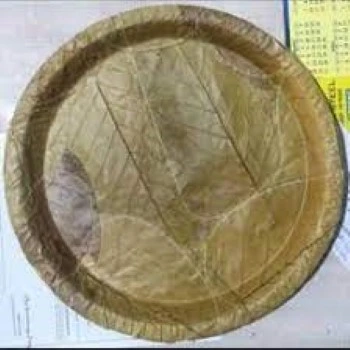 Good Quality Leaf Plate