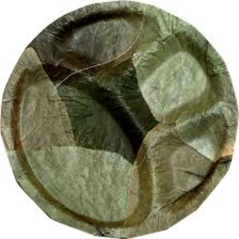 Biodegradable Leaf Plate