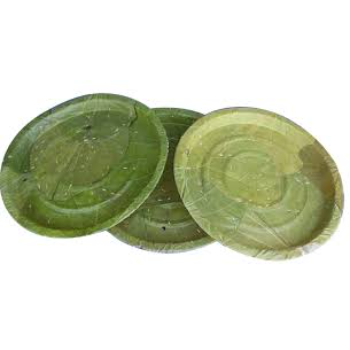 Green Leaf Plate