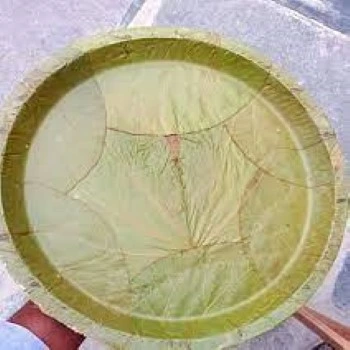 Leaf Plate