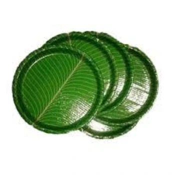 Perfect accuracy Leaf Plate