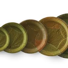  Non Polished  Leaf Plate