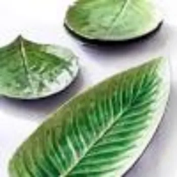 Future Box Private Limited Leaf Plate