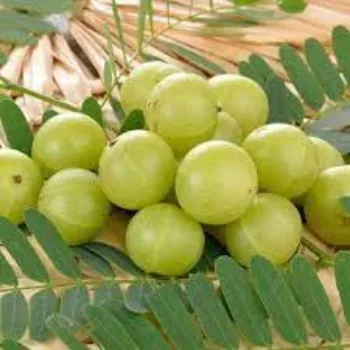 Organic Fresh Amla