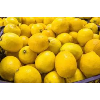 Organic Dried Lemon