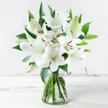 Fresh Lily Flower Manufacturer