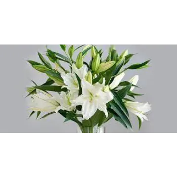 Organic Lily Flowers