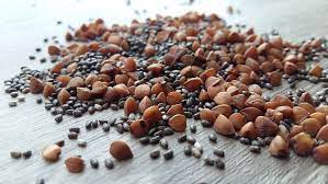 LinSeed Oil Cake