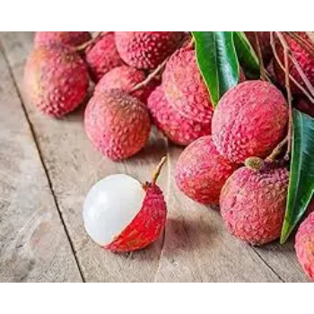 Fresh Litchi Plant