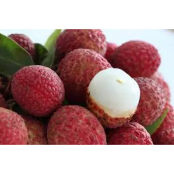 Organic Litchi Plant