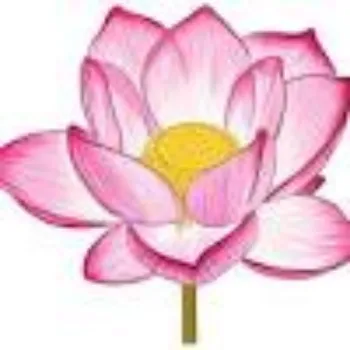 RAJESWARI NURSERY Lotus Flower