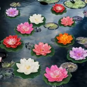 Fresh Lotus Flower