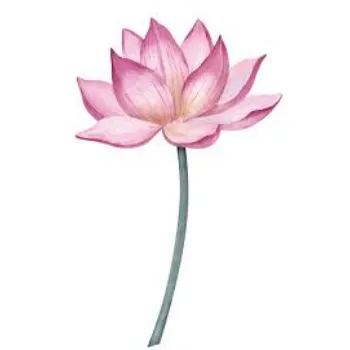 Natural Lotus Flower