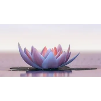 Organic   Lotus Flower