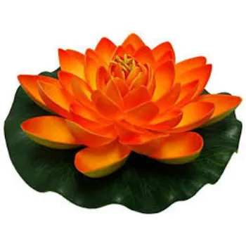 Natural Lotus Flower