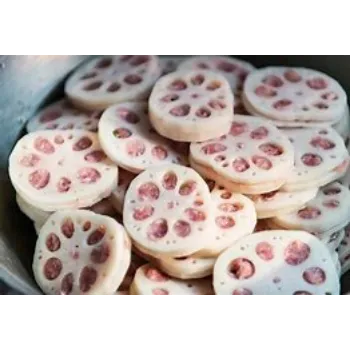 Lotus Root