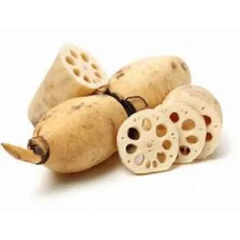Natural Lotus Root