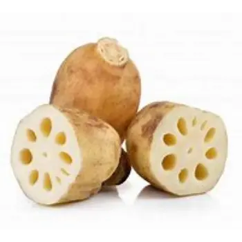 Lotus Root