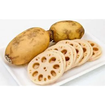 Lotus Root