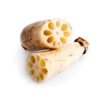 Natural  Lotus Root