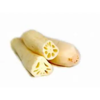 Lotus Root