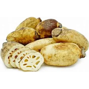 Lotus Root