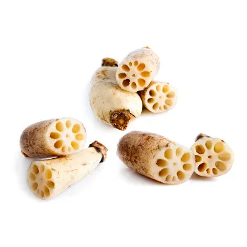Fresh Lotus Root