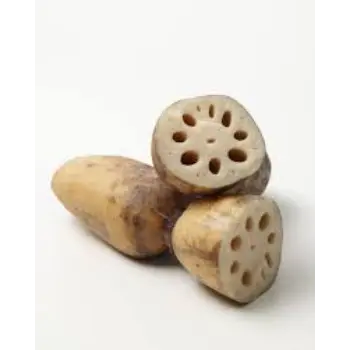 Natural Lotus Root