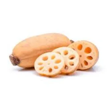 Common Lotus Root