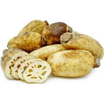 Organic Lotus Root