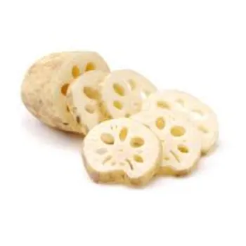 Natural Lotus Root