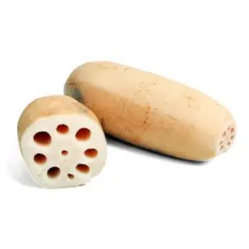 Organic Lotus Root