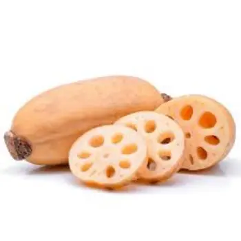 Natural Lotus Root