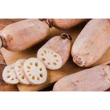 Organic Lotus Root