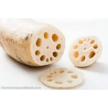 Natural Lotus Root