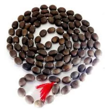 Natural Lotus Seed