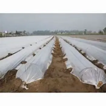 Low Tunnel Film