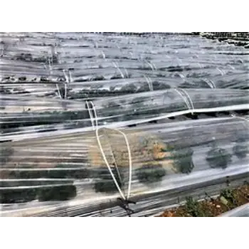 Low Tunnel Film