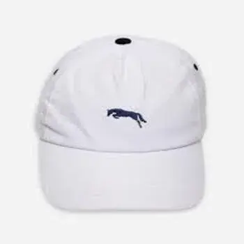 Unisex Printed Mens Promotional Cap, Packaging Type: Packet
