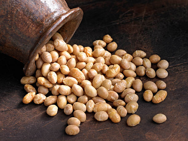 Organic  Macadamia Nuts