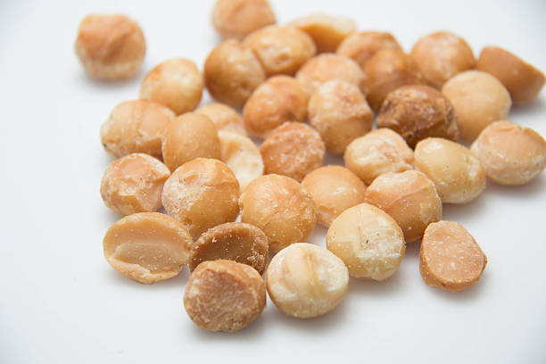 Fresh Macadamia Nuts