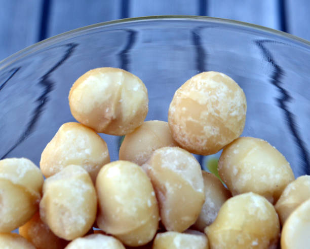 Common  Macadamia Nuts